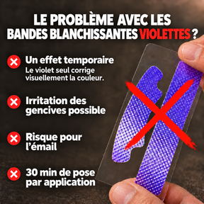 Bâton de siwak