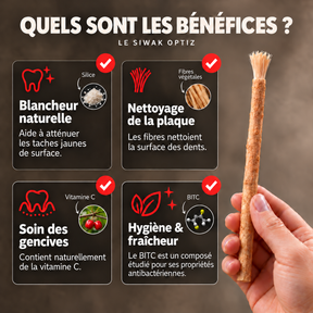 Bâton de siwak