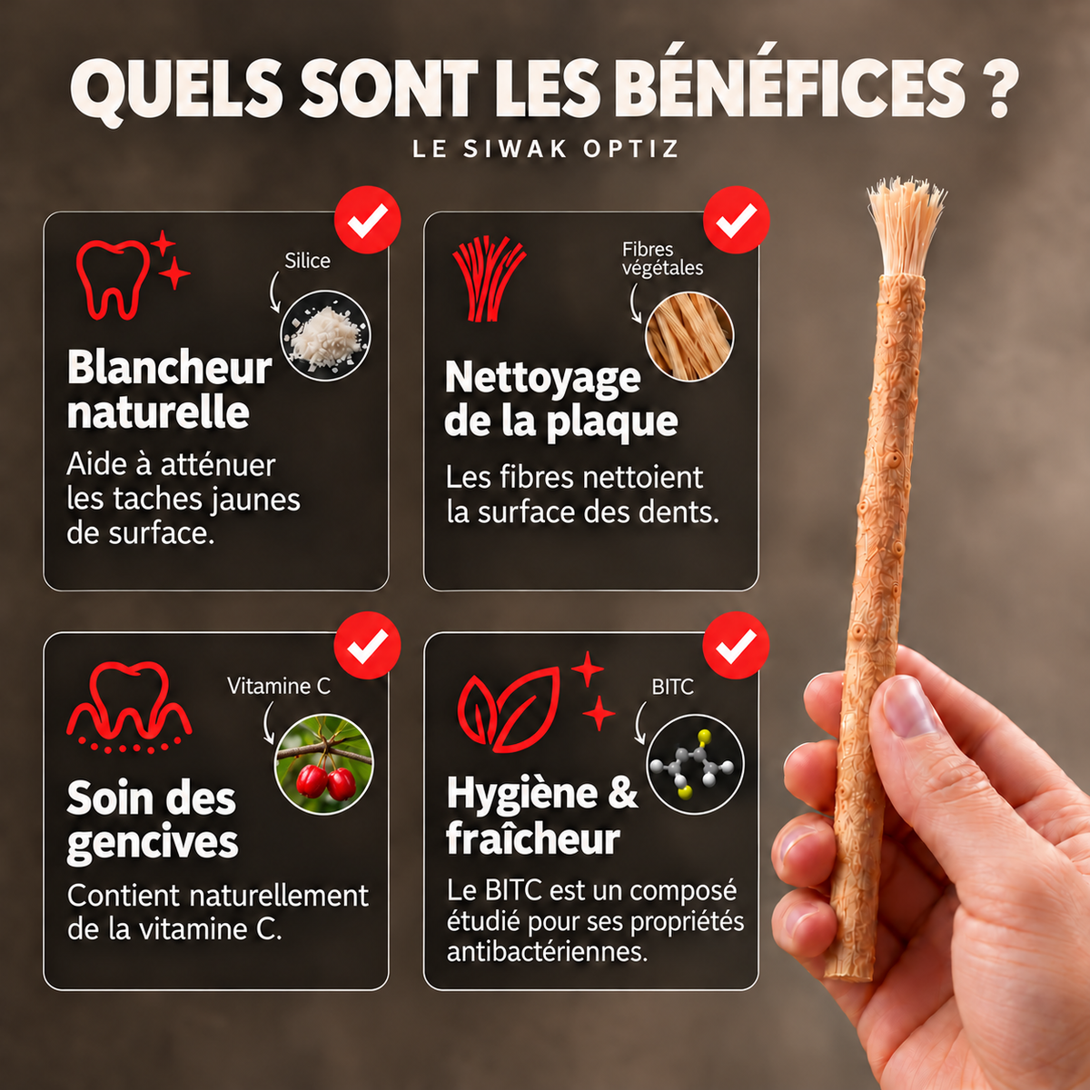 Bâton de siwak