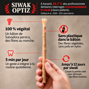 Bâton de siwak