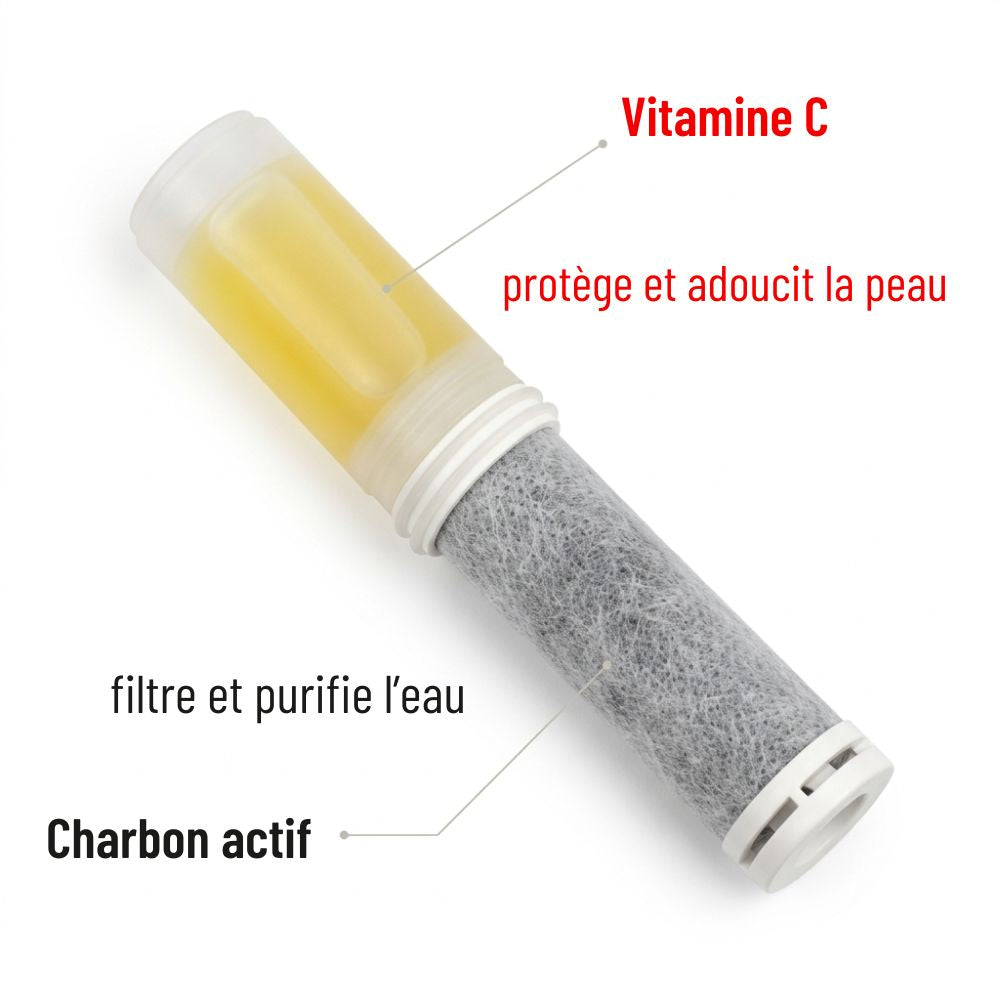 Pommeau de douche filtrant